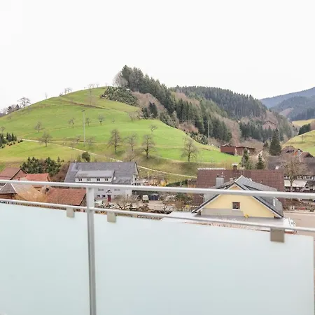 Black Forest -1- I Penthouse I 2 Balkone Mit Ausblick I Boxspring I Parkplatz * Oberharmersbach